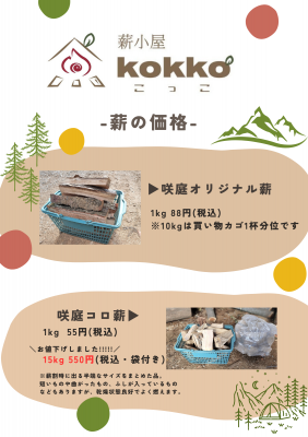 ベージュ 茶色 自然 楽しい 観光案内チラシ A4 縦.png